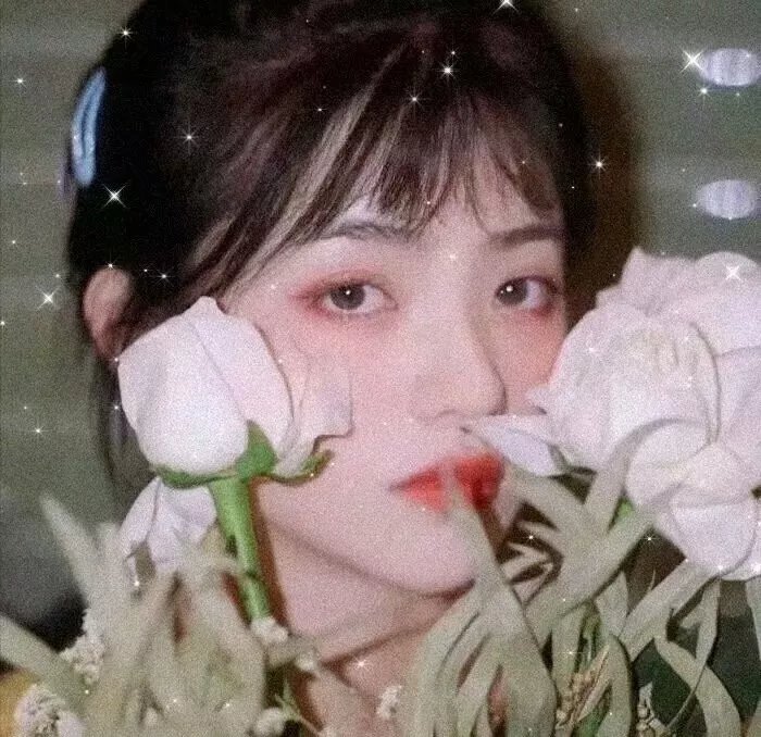 弯曲幸运草