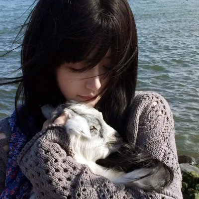 鱼缸里的生活